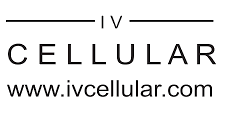 IVC Logo Transparent